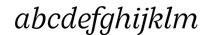 SilvaText LightItalic Font LOWERCASE