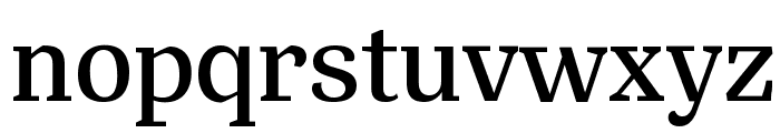 SilvaText Medium Font LOWERCASE