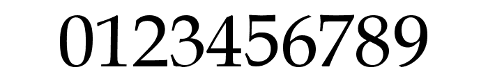 .VnBook Antiqua Font OTHER CHARS