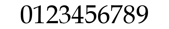.VnBook AntiquaH Font OTHER CHARS