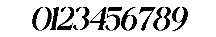 VONZA REGALIA ITALIC Regular Font OTHER CHARS