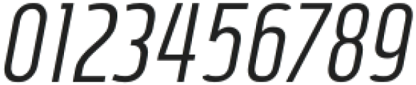 Vogie Light Condensed Italic otf (300) Font OTHER CHARS