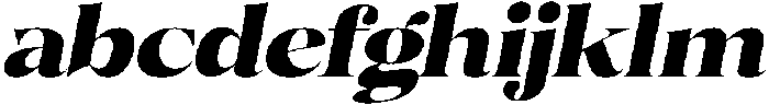Volkys Serif Black Italic otf (900) FONT