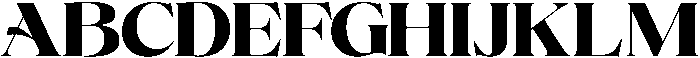 Volkys Serif Black otf (900) Font