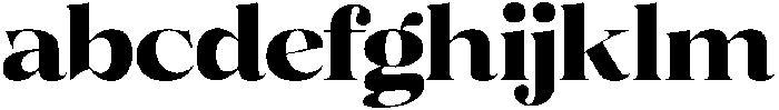 Volkys Serif Extra Bold otf (700) FONT