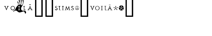 Voila Slim Font OTHER CHARS