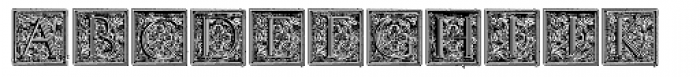 Volitiva Capitular N2 Font LOWERCASE