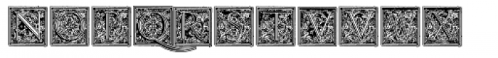Volitiva Capitular N2 Font LOWERCASE