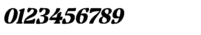 Volkgen Migario Italic Italic Font OTHER CHARS