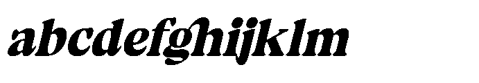 Volkgen Migario Italic Italic FONT
