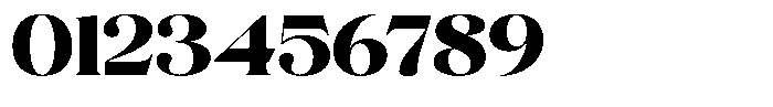 Volkys Serif Black Font OTHER CHARS