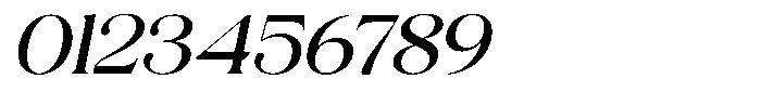 Volkys Serif Italic Font OTHER CHARS