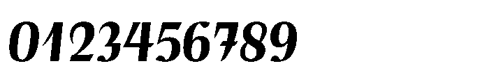 Voltava Sans Bold Italic Font OTHER CHARS