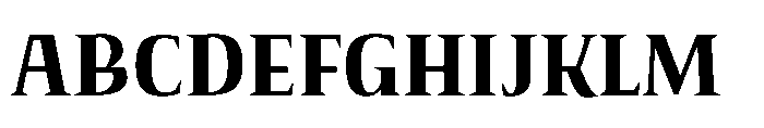 Voltava Serif Bold Font UPPERCASE