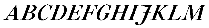 Voxas Book Bold Italic Font UPPERCASE