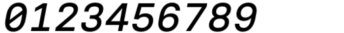 Voyager Mono Medium Italic Font OTHER CHARS