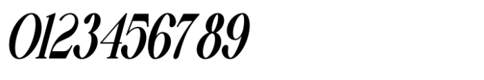 Vsop Narrow 4 Italic Font OTHER CHARS