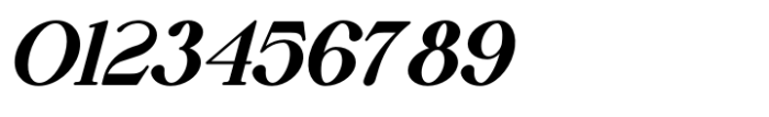 Vsop Regular 6 Italic Font OTHER CHARS