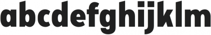 VTCFellbaumGrotesk-Black otf (900) Font LOWERCASE