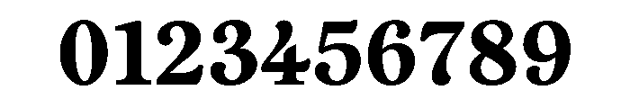 Vulpa Bold Font OTHER CHARS