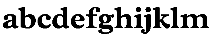 Vulpa Bold FONT