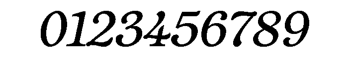 Vulpa Regular Italic Font OTHER CHARS