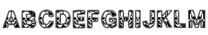 Wayde Regular FONT