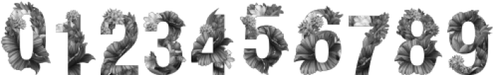 Wacomka Flowers BW Regular otf (400) Font OTHER CHARS