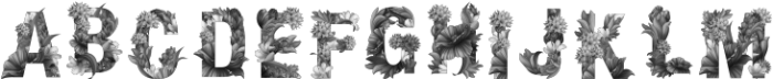 Wacomka Flowers BW Regular otf (400) Font UPPERCASE