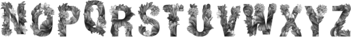 Wacomka Flowers BW Regular otf (400) Font UPPERCASE