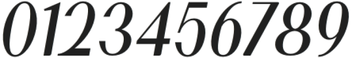 Wahog Italic otf (400) Font OTHER CHARS