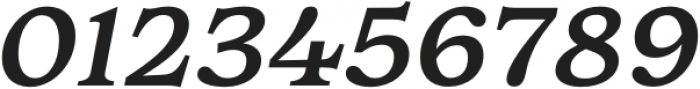 Walden Regular Italic otf (400) Font OTHER CHARS