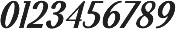 WalkieValkyrie Bold Italic otf (700) Font OTHER CHARS
