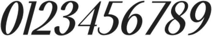 WalkieValkyrie-Italic otf (400) Font OTHER CHARS