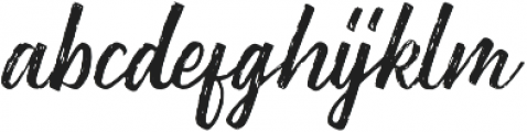 Washington Rough otf (400) Font LOWERCASE