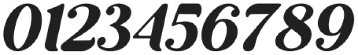wastern Italic otf (400) Font OTHER CHARS