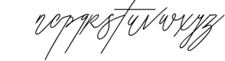 Walrus Typeface Signature Font LOWERCASE