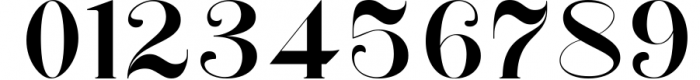 Wano Quin Black| Beautiful and Elegant Serif Font Font OTHER CHARS