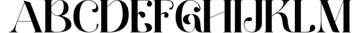 Wano Quin Black| Beautiful and Elegant Serif Font Font UPPERCASE