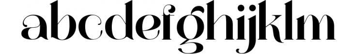 Wano Quin Black| Beautiful and Elegant Serif Font Font LOWERCASE