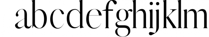 Warick Serif Font Family 1 Font LOWERCASE