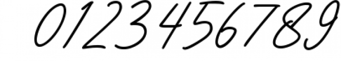 Warwicks Fancy Signature Font 1 Font OTHER CHARS