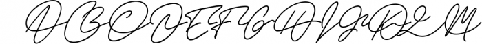 Warwicks Fancy Signature Font Font UPPERCASE