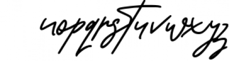 Warwicks Fancy Signature Font Font LOWERCASE