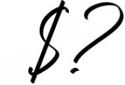 Washington DC / Elegant Font Duo 1 Font OTHER CHARS