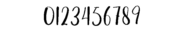 Wallet Font OTHER CHARS