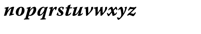 Warnock Bold Italic Caption Font LOWERCASE