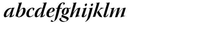 Warnock Bold Italic Display Font LOWERCASE
