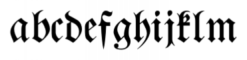 Walbaum Fraktur No2 Pro Regular Font - What Font Is