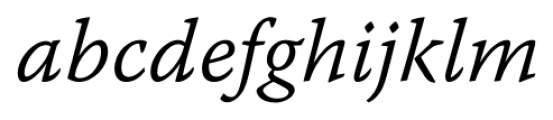 Warnock Pro Caption Light Italic Font LOWERCASE